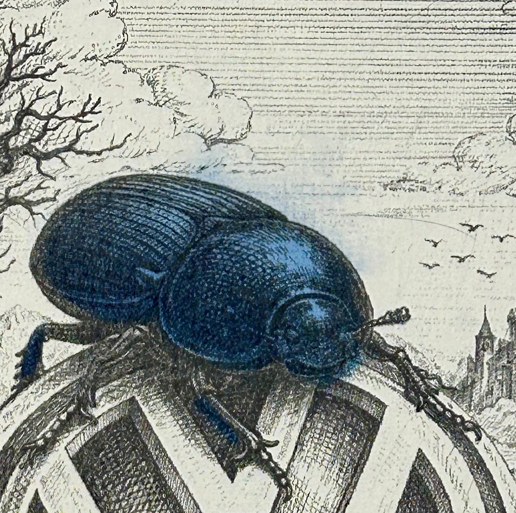 VW beetle