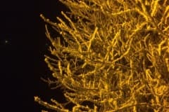 frostbite-3