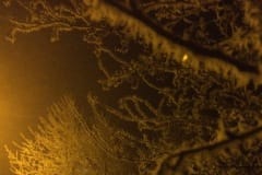 frostbite1